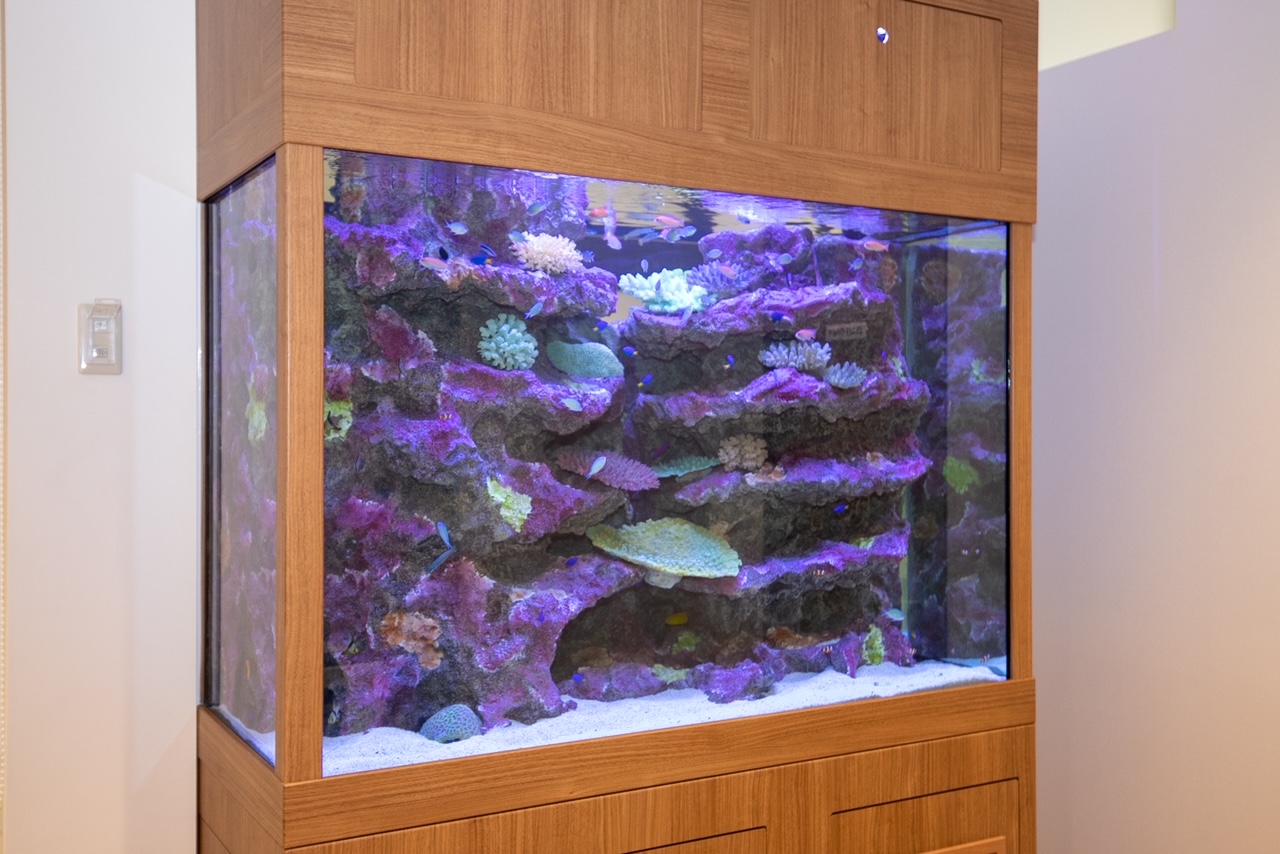 ビバモール蕨錦町メディカルゾーンの写真